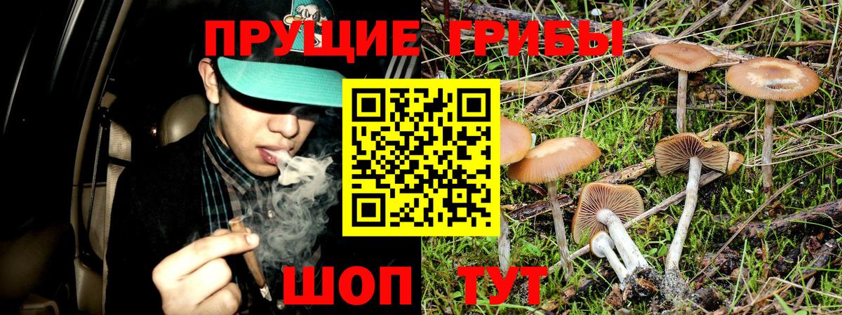 Галлюциногенные грибы мицелий Бийск