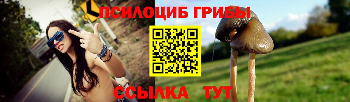 Галлюциногенные грибы ЛСД  Вход с VPN  Бийск 